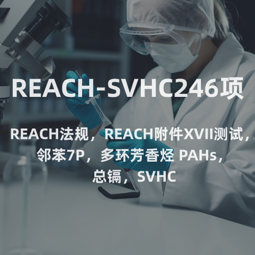 REACH-SVHC246项